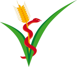 Logo_os_583x512